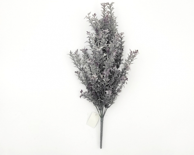 Cespuglio di tea con neve, altezza 45 cm, vari colori