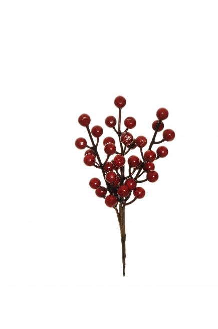 Pick ramo con bacche rosse, altezza 20 cm, confezione da 6 pezzi