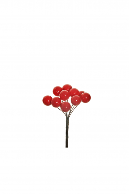 Pick bacche rosse, altezza 8 cm, confezione da 24 pezzi