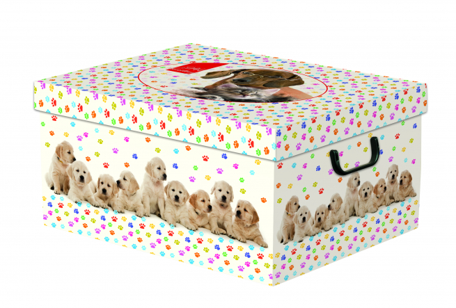 Scatola armadio con maniglie "Fantasiy Art", formato 35x25 cm, altezza 18 cm