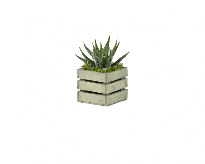 Porta vaso quadrato in legno grigio, formato 7x7x7 cm