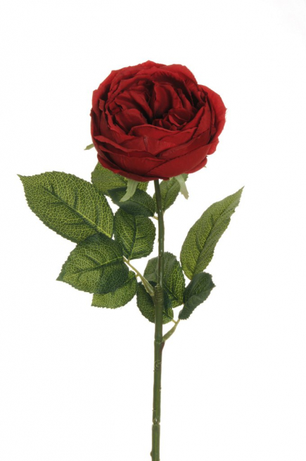 Rosa "Cabbage" rosso con stelo, altezza 64 cm