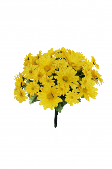 Mazzo di margherite gialle, altezza 35 cm