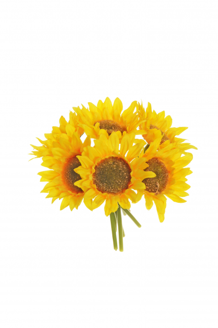Mazzo di girasoli gialli, diametro 9 cm, altezza 22 cm