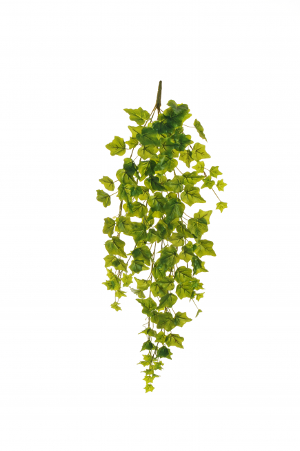 Edera verde cadente, altezza 85 cm