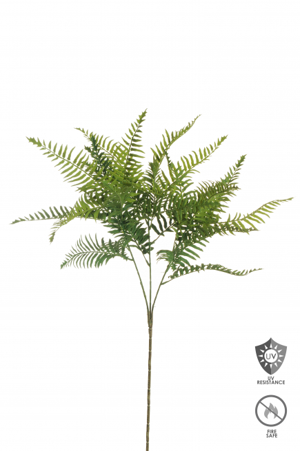 Felce verde ignifuga e resistente ai raggi UV, altezza 80 cm