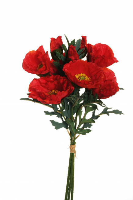 Mazzo di papaveri rossi, altezza 56 cm