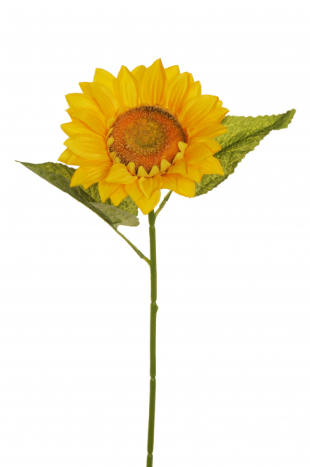 Girasole giallo con stelo, altezza 73 cm