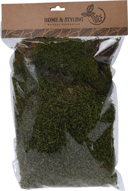 Muschio naturale in busta da 100 gr
