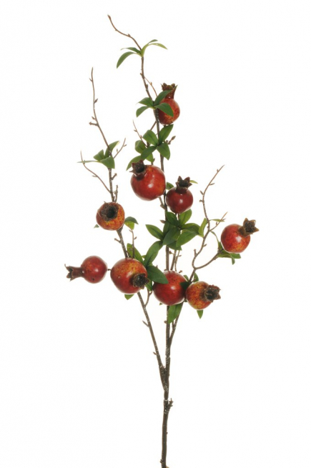 Ramo di melograno, altezza 100 cm