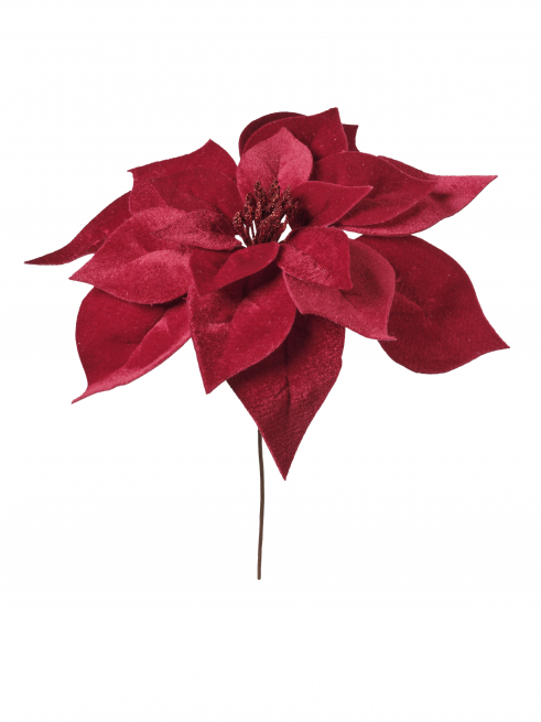 Stella di Natale rossa, altezza 20 cm