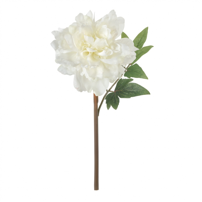 Peonia crema con stelo, altezza 35 cm