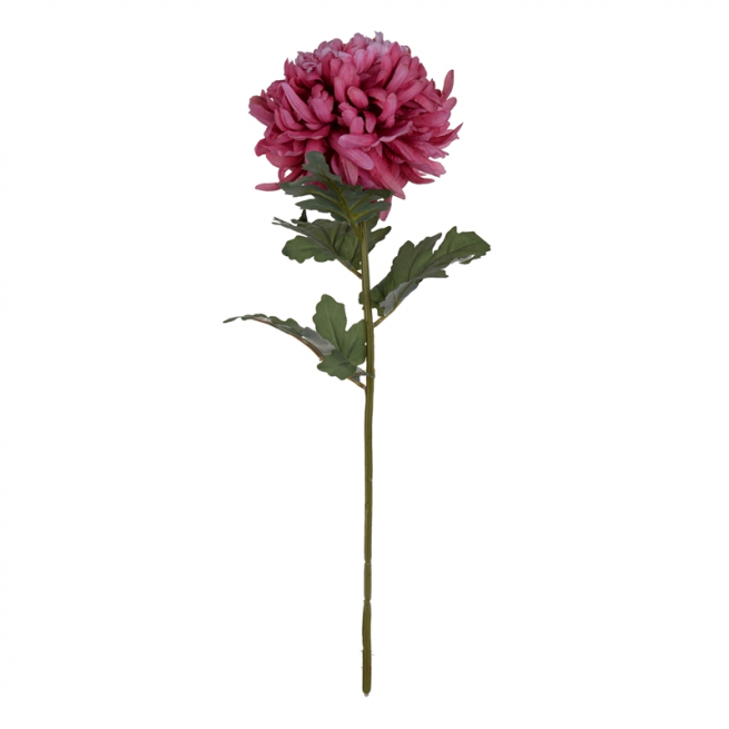 Crisantemo fucsia con stelo, altezza 62 cm
