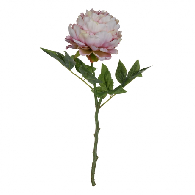 Peonia rosa con stelo, altezza 44 cm