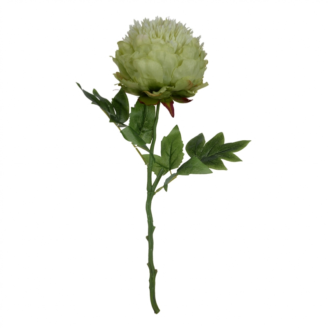 Peonia verde con stelo, altezza 46 cm