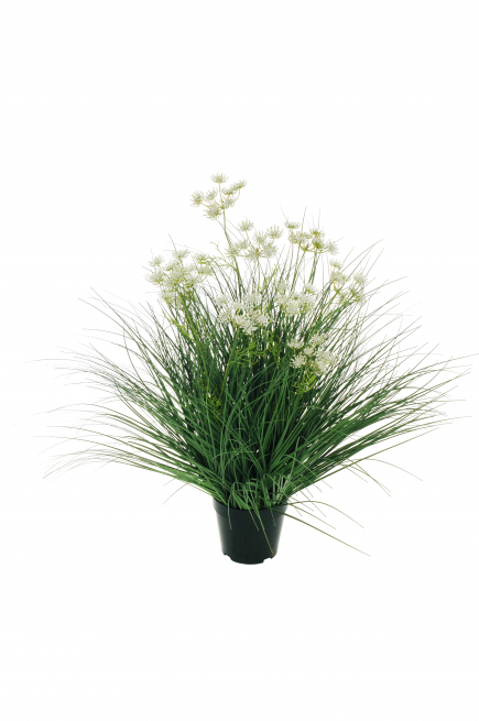 Cespuglio di fili d'erba in vaso, verde bianco, altezza 75 cm
