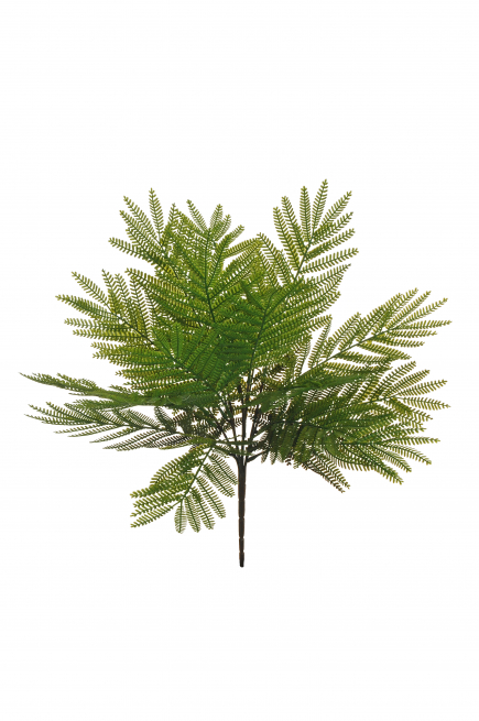 Cespuglio di "Felce", altezza 46 cm, vari colori