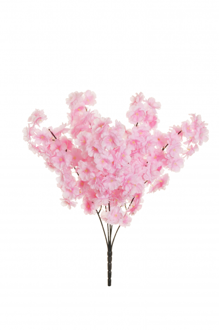 Cespuglio di "Fiori di ciliegio", altezza 52 cm, vari colori