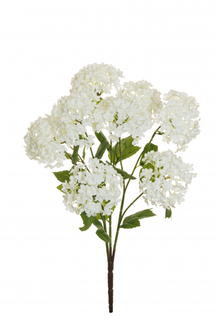 Cespuglio fiori "Palla di neve", altezza 47 cm, vari colori