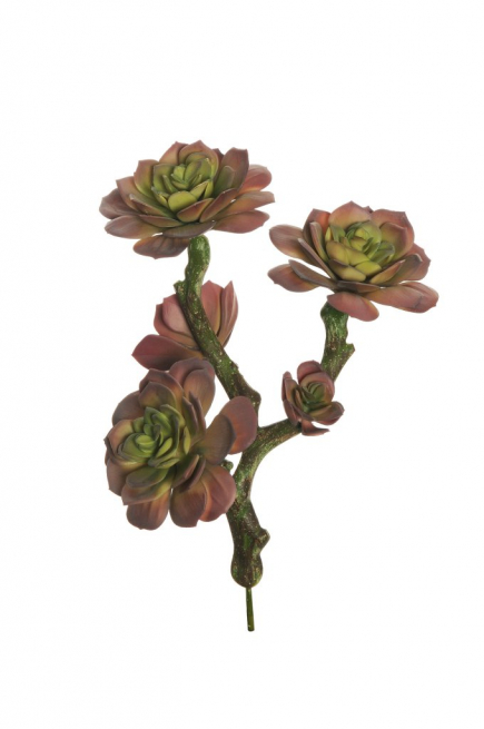 Ramo di "Aeonium" verde malva, altezza 30 cm