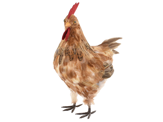 Gallina marrone chiaro altezza 35 cm