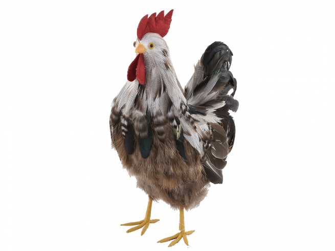 Gallo marrone scuro altezza 44 cm
