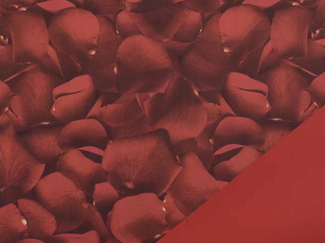 Bobina "Petals" in PPL fantasia fondo e interno rosso, altezza 1 metro, lunghezza 25 metri
