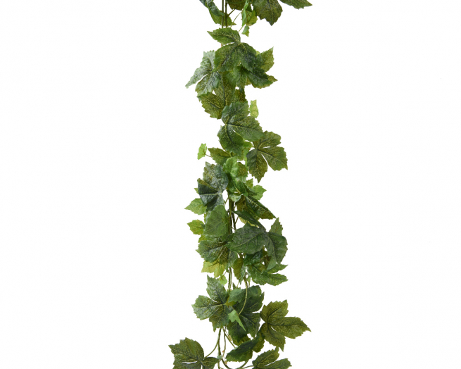 Festone di vite americana verde, lunghezza 175 cm