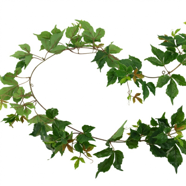 Ghirlanda di vite verde, lunghezza 180 cm