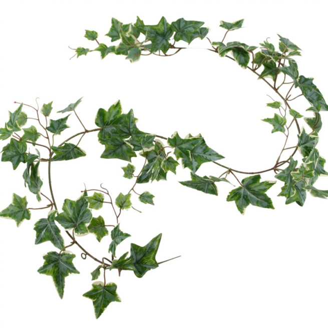 Ghirlanda di edera verde a crema, lunghezza 150 cm