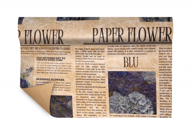 Rotolo carta regalo paper-fibra "Newspaper Flower", altezza 75 cm, lunghezza 9 metri, vari colori