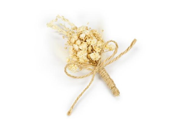 Mazzetto di pampas secca panna, altezza 8 cm, confezione da 12 pezzi