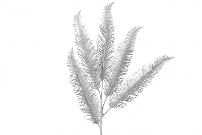 Felce piumata altezza 82 cm, vari colori