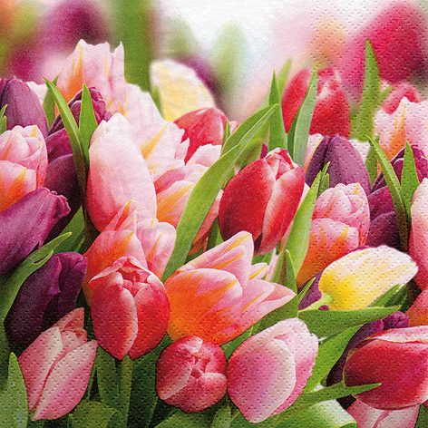 Tovagliolo in carta 3 veli stampa "Tulipani", 24x24 cm, confezione da 20 pezzi