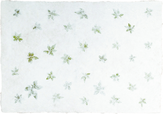 Carta Kozo floral mazzetti e foglie fondo bianco, formato 55x80 cm, confezione da 10 fogli