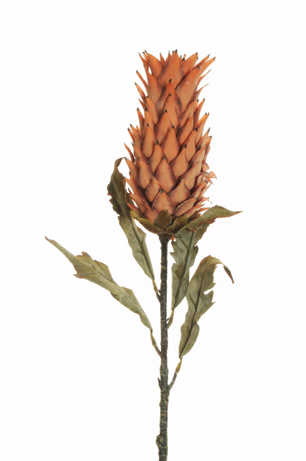 Ananas tropicale con stelo e foglie, altezza 82 cm, vari colori