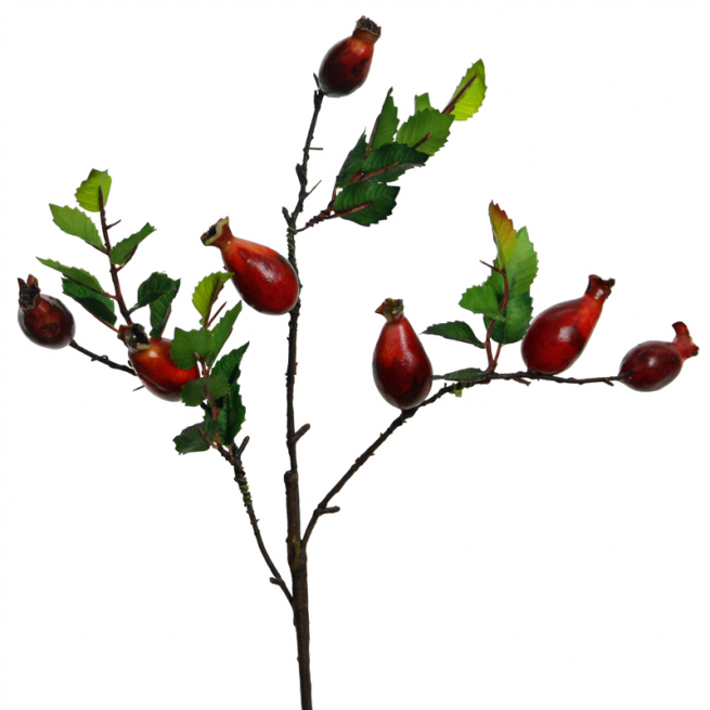 Ramo di rosa canina rosso, altezza 55 cm
