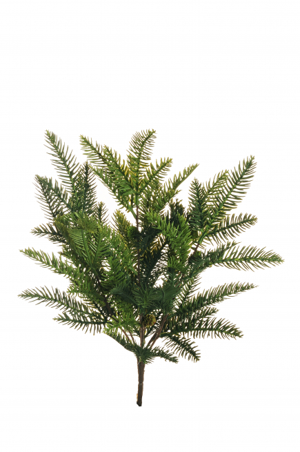 Cespuglio di "Pino" verde con pigne, altezza 50 cm
