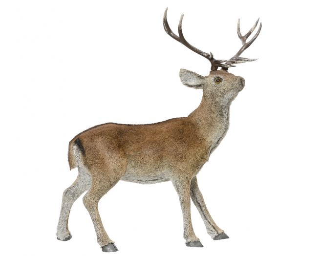 Renna con pelliccia atificiale, altezza 67 cm