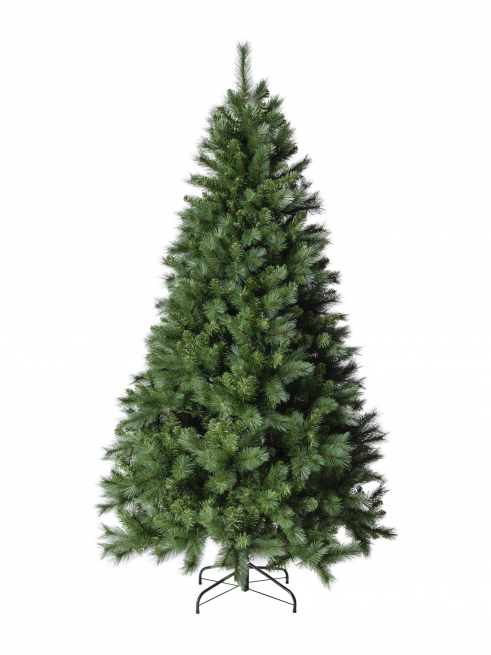 Pino "Abetone" verde, altezza 240 cm