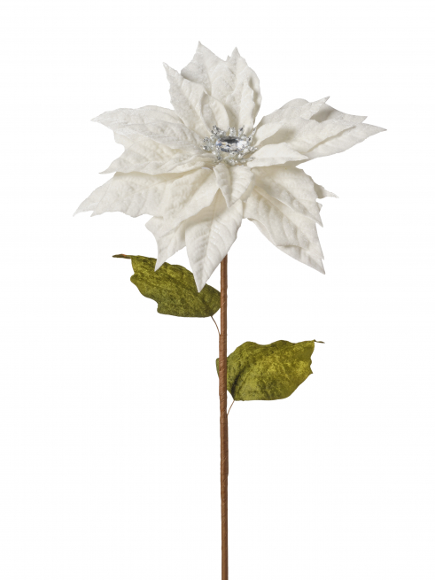 Stella di Natale bianca su stelo, altezza 71 cm