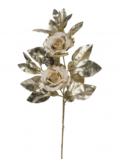 Ramo di rose crema con foglie oro, altezza 94 cm