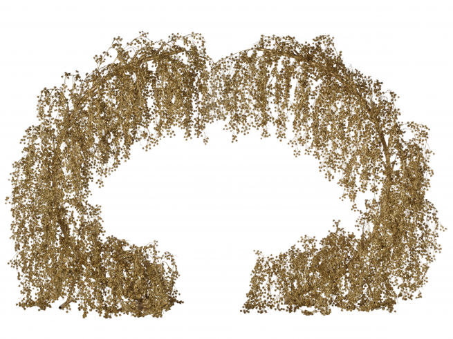 Arco dorato di pino marittimo con base in metallo, lunghezza 230 cm