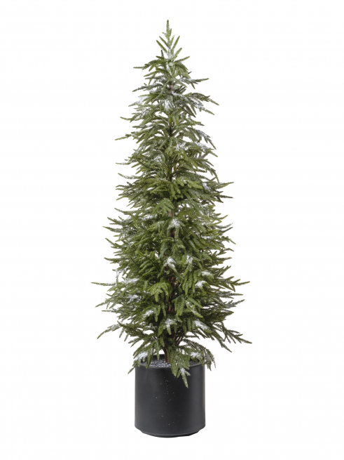 Pino verde innevato con vaso nero, altezza 152 cm