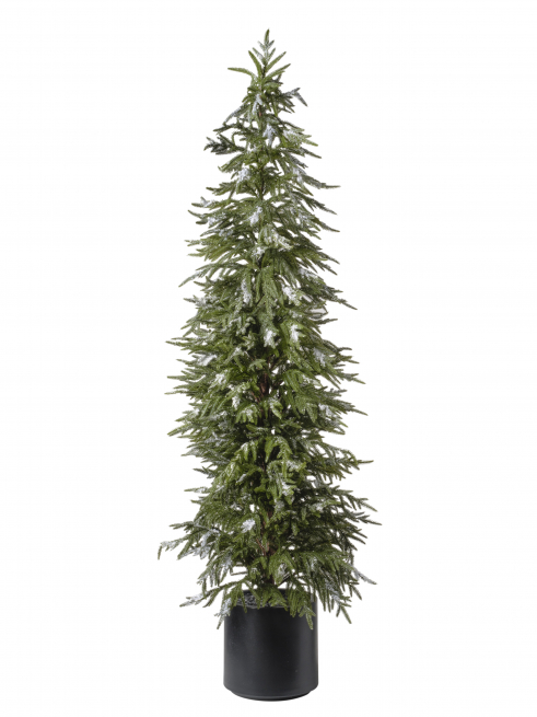 Pino verde innevato con vaso nero, altezza 183 cm