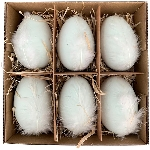 Uovo in plastica bianca, confezione da 6 pezzi