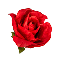 Rosa in TNT impermeabile rossa, varie misure