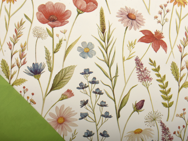 Carta da regalo in rotolo stampa "Vesna" con fiori di campo, fondo bianco e interno verde, altezza 1 metro, lunghezza 25 metri