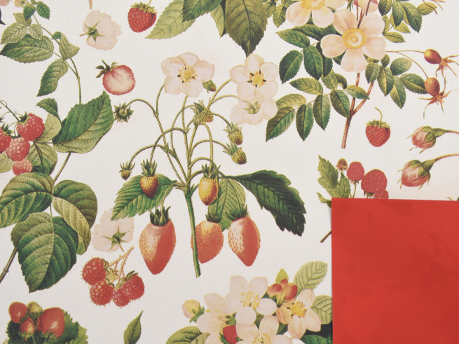 Carta da regalo in rotolo profumata stampa "Tasty Garden" con fiori e frutti, fondo bianco e interno rosso, altezza 1 metro, lunghezza 25 metri