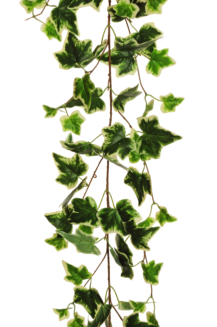 Ghirlanda con ramificazioni e foglie variegate lunghezza 170 cm, verde